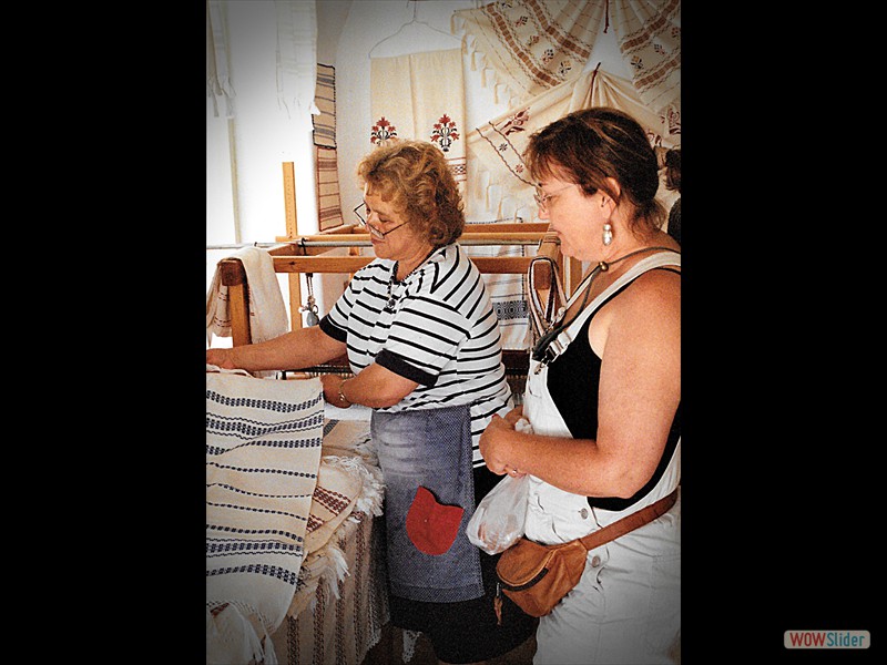 Deb shopping for fabrics 1