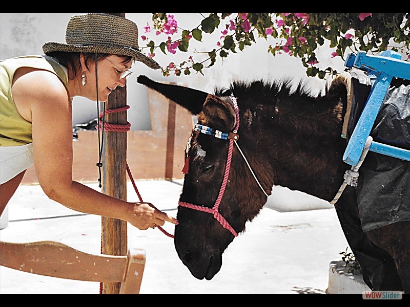 Naxos Greece Deb Making a Friend
