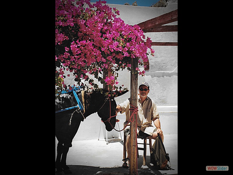 Santorini Phil and Donkey