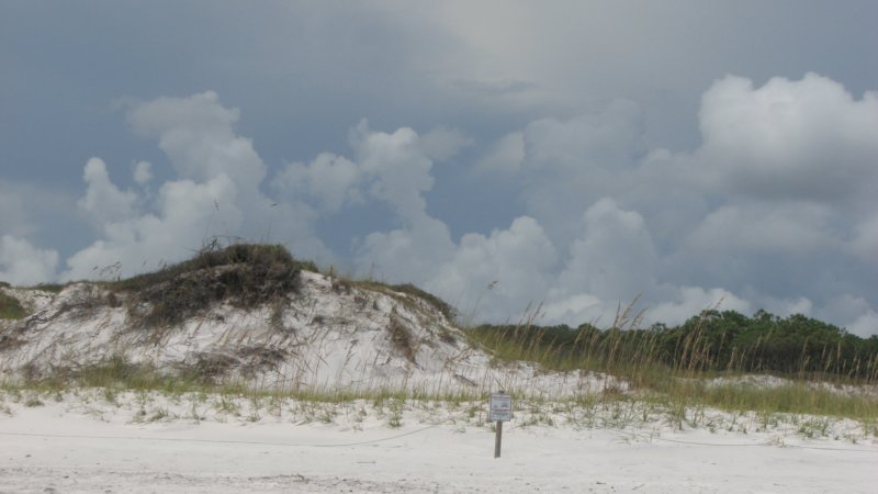 topsailhillpreserveinterestingcloudsoverdunes.jpg
