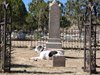 Silver City, NM - Hanni guarding the tomb
